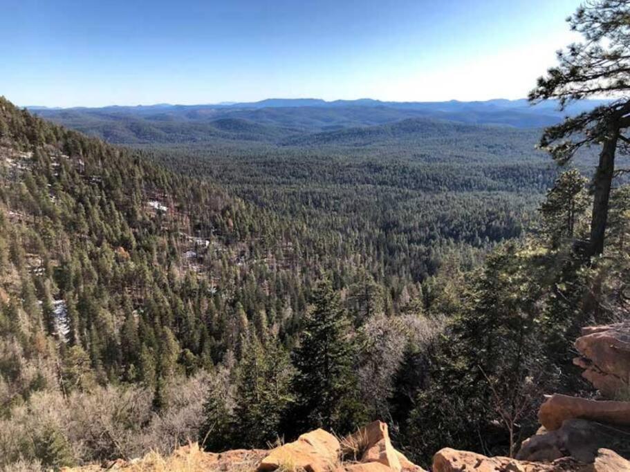 Forest Cabin 1 Hunters Blind Payson Exterior photo